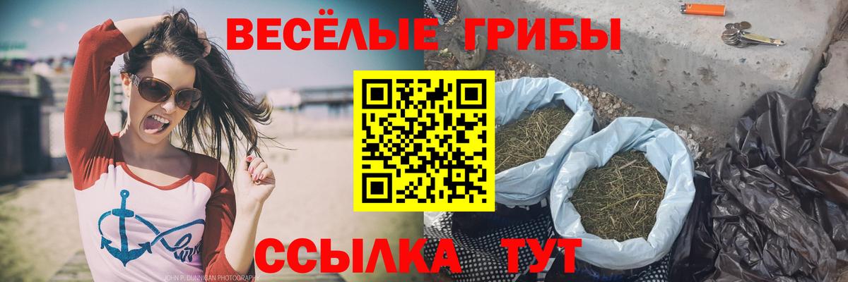 Галлюциногенные грибы ЛСД  Псилоцибиновые грибы мухоморы  где продают   Добрянка  Вход с VPN 